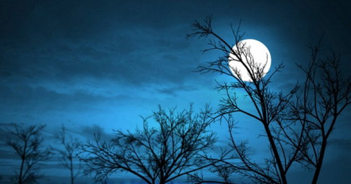 Top 20 bài Phân tích bài thơ Ánh trăng hay nhất (ảnh 2)