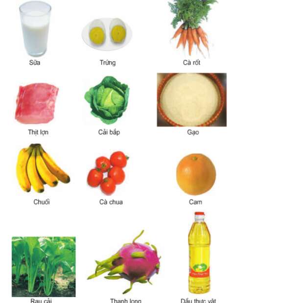 Khoa học lớp 4 Bài 6: Vai trò của vitamin, chất khoáng và chất xơ (ảnh 1)