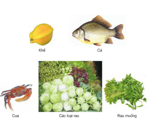 Khoa học lớp 4 Bài 6: Vai trò của vitamin, chất khoáng và chất xơ (ảnh 2)