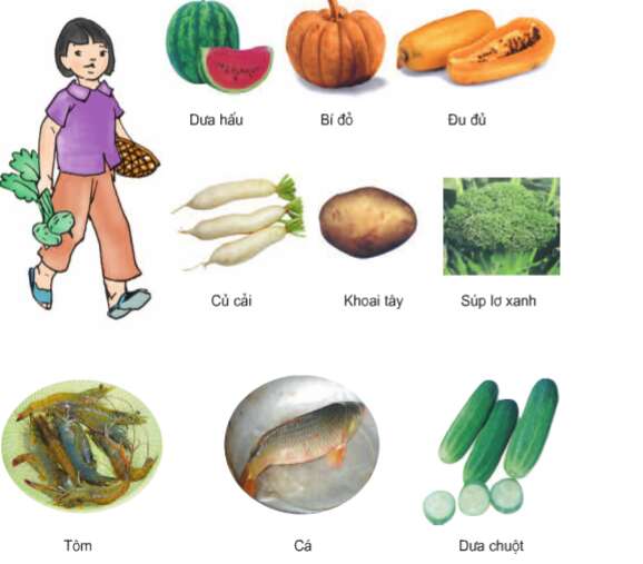 Khoa học lớp 4 Bài 7: Tại sao cần ăn phối hợp nhiều loại thức ăn? (ảnh 1)