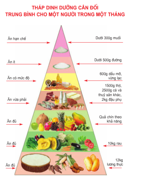Khoa học lớp 4 Bài 7: Tại sao cần ăn phối hợp nhiều loại thức ăn? (ảnh 2)