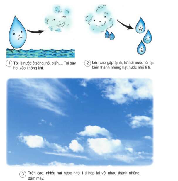Khoa học lớp 4 Bài 22: Mây được hình thành như thế nào ? Mưa từ đâu ra ? (ảnh 1)
