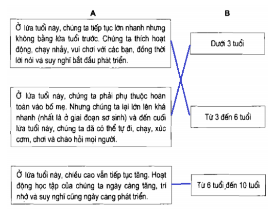 Vở bài tập Khoa học lớp 5 Bài 6: Từ lúc mới sinh ra đến tuổi dậy thì | Giải VBT Khoa học lớp 5 (ảnh 2)