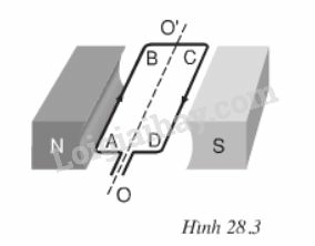 Giải Vật lí 9 Bài 28: Động cơ điện một chiều (ảnh 4)