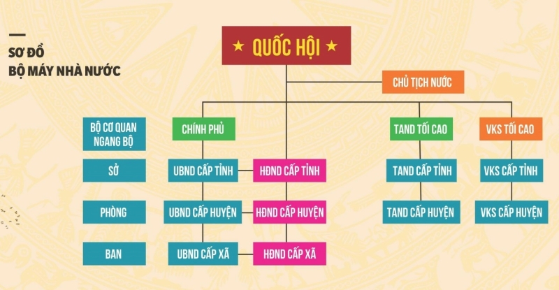 Pháp luật 10 Bài 13: Đặc điểm, nguyên tắc tổ chức và hoạt động của bộ