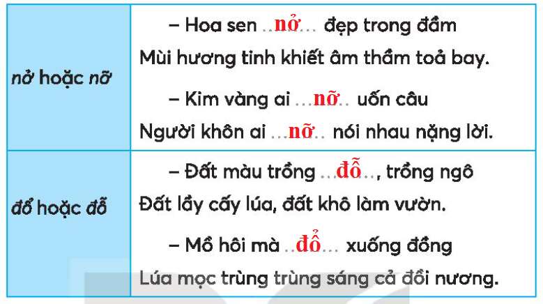 Vở bài tập Tiếng Việt lớp 3 Tập 1 trang 60, 61 Bài 27: Những chiếc áo ấm | Kết nối tri thức (ảnh 6)