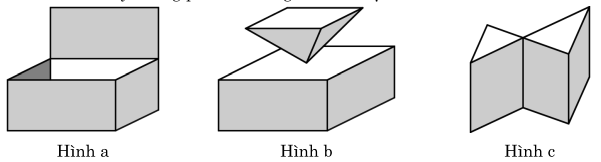 Lý thuyết và bài tập về khối đa diện và thể tích của chúng (ảnh 3)