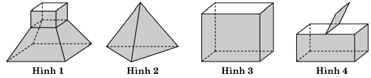 Lý thuyết và bài tập về khối đa diện và thể tích của chúng (ảnh 8)