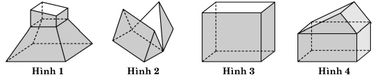Lý thuyết và bài tập về khối đa diện và thể tích của chúng (ảnh 9)