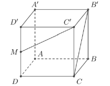Bài tập trắc nghiệm hai đường thẳng vuông góc có đáp án và lời giải (ảnh 6)