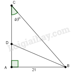 SBT Toán 9 Bài 4: Một số hệ thức về cạnh và góc trong tam giác vuông | Giải SBT Toán lớp 9 (ảnh 2)