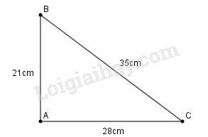 SBT Toán 9 Ôn tập chương 1: Hệ thức lượng trong tam giác vuông | Giải SBT Toán lớp 9 (ảnh 3)