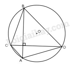SBT Toán 9 Bài 2: Đường kính và dây của đường tròn | Giải SBT Toán lớp 9 (ảnh 12)