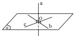 Chuyên đề khối đa diện - hình học 12 (ảnh 18)