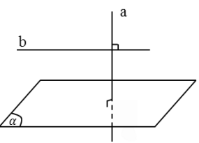 Chuyên đề khối đa diện - hình học 12 (ảnh 21)