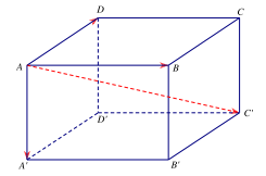 Chuyên đề vecto trong không gian, quan hệ vuông góc (ảnh 3)