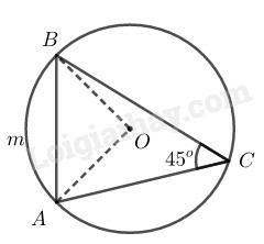 SBT Toán 9 Bài 10: Diện tích hình tròn, hình quạt tròn | Giải SBT Toán lớp 9 (ảnh 9)