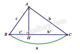 SBT Toán 9 Bài 1: Một số hệ thức về cạnh và đường cao trong tam giác vuông | Giải SBT Toán lớp 9 (ảnh 5)