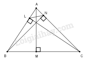 SBT Toán 9 Ôn tập chương 1: Hệ thức lượng trong tam giác vuông | Giải SBT Toán lớp 9 (ảnh 9)