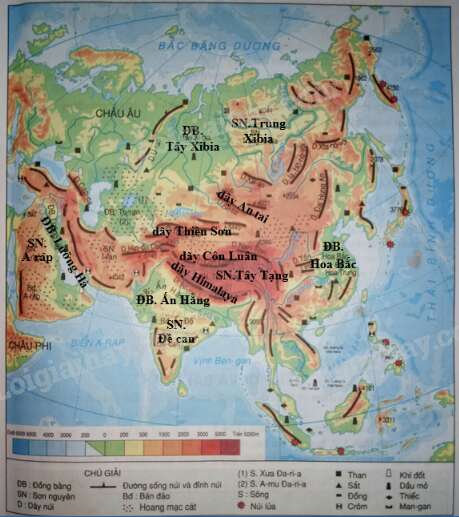 Vở bài tập Địa lí lớp 8 Bài 1. Vị trí địa lí, địa hình và khoáng sản châu Á | Giải VBT Địa lí lớp 8 (ảnh 3)