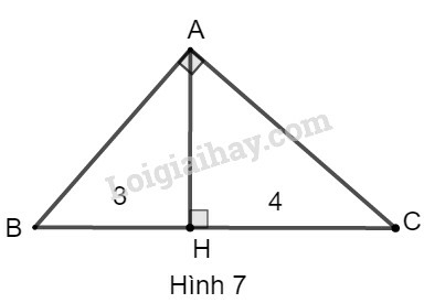SBT Toán 9 Bài 1: Một số hệ thức về cạnh và đường cao trong tam giác vuông | Giải SBT Toán lớp 9 (ảnh 2)