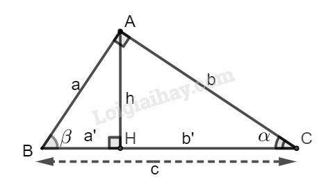 SBT Toán 9 Bài 2: Tỉ số lượng giác của góc nhọn | Giải SBT Toán lớp 9 (ảnh 9)