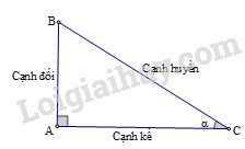 SBT Toán 9 Bài 4: Một số hệ thức về cạnh và góc trong tam giác vuông | Giải SBT Toán lớp 9 (ảnh 2)