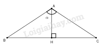SBT Toán 9 Ôn tập chương 1: Hệ thức lượng trong tam giác vuông | Giải SBT Toán lớp 9 (ảnh 5)
