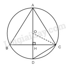 SBT Toán 9 Bài 1: Sự xác định đường tròn. Tính chất đối xứng của đường tròn | Giải SBT Toán lớp 9 (ảnh 3)