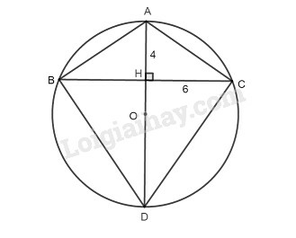 SBT Toán 9 Bài 1: Sự xác định đường tròn. Tính chất đối xứng của đường tròn | Giải SBT Toán lớp 9 (ảnh 5)