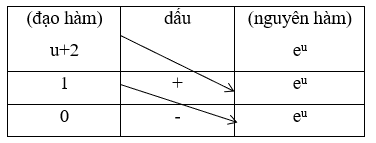Tính nhanh nguyên hàm tích phân từng phần sử dụng số đo đường chéo (ảnh 2)
