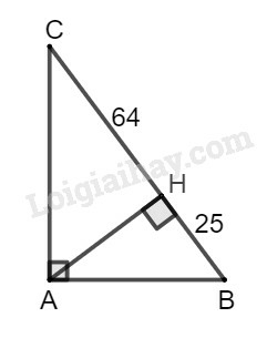 SBT Toán 9 Bài 4: Một số hệ thức về cạnh và góc trong tam giác vuông | Giải SBT Toán lớp 9 (ảnh 8)