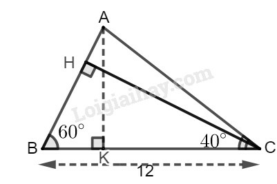 SBT Toán 9 Bài 4: Một số hệ thức về cạnh và góc trong tam giác vuông | Giải SBT Toán lớp 9 (ảnh 9)