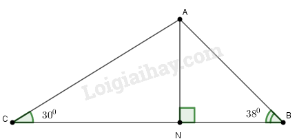 SBT Toán 9 Bài 4: Một số hệ thức về cạnh và góc trong tam giác vuông | Giải SBT Toán lớp 9 (ảnh 12)
