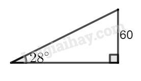 SBT Toán 9 Bài 4: Một số hệ thức về cạnh và góc trong tam giác vuông | Giải SBT Toán lớp 9 (ảnh 1)