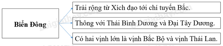 Vở bài tập Địa lí lớp 8 Bài 24: Vùng biển Việt Nam | Giải VBT Địa lí lớp 8 (ảnh 2)