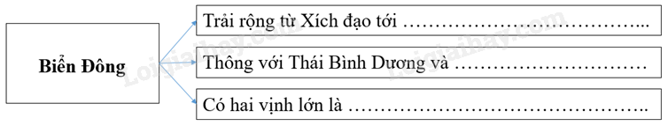 Vở bài tập Địa lí lớp 8 Bài 24: Vùng biển Việt Nam | Giải VBT Địa lí lớp 8 (ảnh 1)
