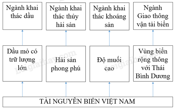 Vở bài tập Địa lí lớp 8 Bài 24: Vùng biển Việt Nam | Giải VBT Địa lí lớp 8 (ảnh 4)