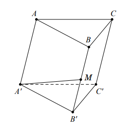 Phân loại và phương pháp giải bài tập vectơ trong không gian, quan hệ vuông góc (ảnh 5)
