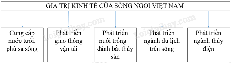 Vở bài tập Địa lí lớp 8 Bài 33: Đặc điểm sông ngòi Việt Nam | Giải VBT Địa lí lớp 8 (ảnh 5)