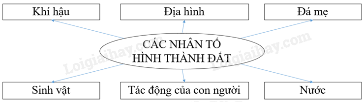 Vở bài tập Địa lí lớp 8 Bài 36: Đặc điểm đất Việt Nam | Giải VBT Địa lí lớp 8 (ảnh 2)