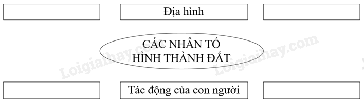 Vở bài tập Địa lí lớp 8 Bài 36: Đặc điểm đất Việt Nam | Giải VBT Địa lí lớp 8 (ảnh 1)