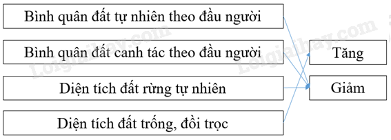 Vở bài tập Địa lí lớp 8 Bài 36: Đặc điểm đất Việt Nam | Giải VBT Địa lí lớp 8 (ảnh 8)