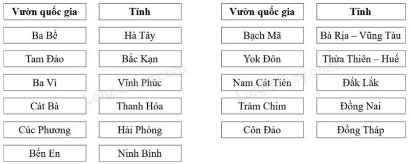 Vở bài tập Địa lí lớp 8 Bài 37: Đặc điểm sinh vật Việt Nam | Giải VBT Địa lí lớp 8 (ảnh 5)
