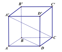Bài tập trắc nghiệm hai đường thẳng vuông góc có đáp án và lời giải (ảnh 2)