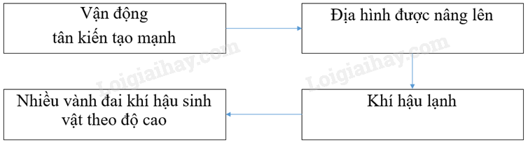 Vở bài tập Địa lí lớp 8 Bài 42: Miền Tây Bắc và Bắc Trung Bộ | Giải VBT Địa lí lớp 8 (ảnh 4)