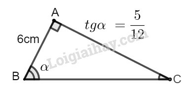 SBT Toán 9 Bài 2: Tỉ số lượng giác của góc nhọn | Giải SBT Toán lớp 9 (ảnh 6)