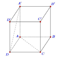 Bài tập trắc nghiệm hai đường thẳng vuông góc có đáp án và lời giải (ảnh 3)