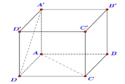 Bài tập trắc nghiệm hai đường thẳng vuông góc có đáp án và lời giải (ảnh 4)