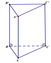 Gắn hệ tọa độ Oxyz để giải các bài toán hình học không gian (ảnh 9)